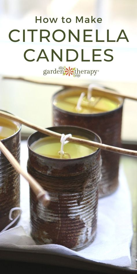 Making Citronella Candles, Recycle Candle Wax, Diy Citronella Candles, Homemade Candle Recipes, Diy Citronella, Recycle Candles, Natural Mosquito Repellent, Diy Candles Homemade, Diy Candles Scented