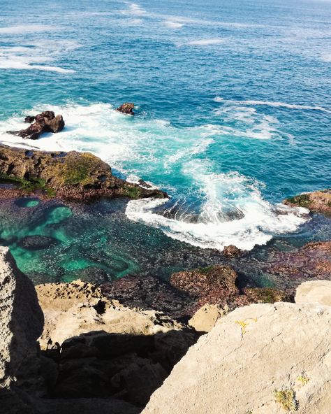 We hiked Robberg for the first time a couple of years ago and fell in love with it 😍 it's well worth the hike - the scenery is exquisite, and you never know what you may see 💙🦈🦭

The Robberg Nature Reserve Trail in Plettenberg Bay, Western Cape, South Africa. 

ocean • sun • cliffs • sharks • island • seals • dassies Plettenberg Bay, Western Cape South Africa, African Travel, South Africa Travel, Travel South, Western Cape, Nature Reserve, You Never Know, Fell In Love