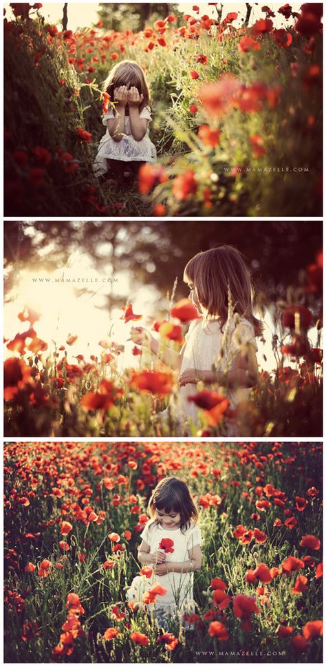 Poppy Photoshoot, Photoshoot In Flower Fields, Photo Ideas In Flower Fields, Poppy Field Photoshoot, Poppy Pictures, Poppy Field Photography, Poppy Photography, Poppy Fields, Gift Ideas For Kids