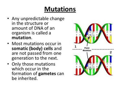 What is DNA mutation? - In biology, a mutation is the permanent alteration of the nucleotide sequence of the genome of an organism, virus, or extrachromosomal DNA or other genetic elements. What Is Dna, Dna Activities, Dna Facts, Point Mutation, Learn Biology, Medical Photography, Study Biology, Dna Genealogy, Biology Facts