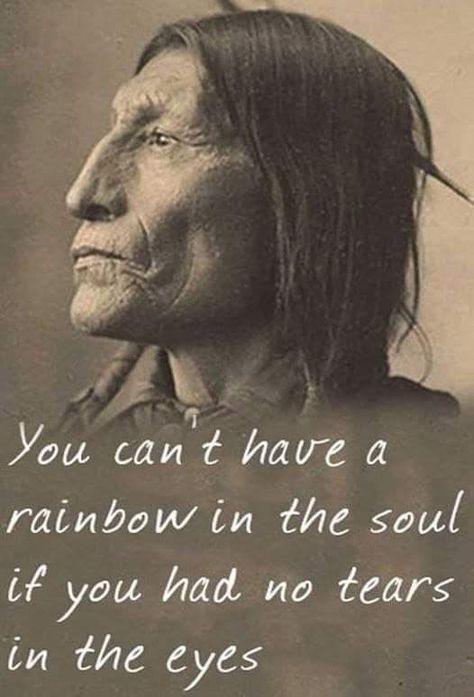 Native American Proverb, beautiful Indian Proverbs Wisdom, Walk Two Moons, Native American Proverbs, Native Quotes, American Proverbs, Native American Spirituality, Two Moons, Indian Quotes, American Quotes