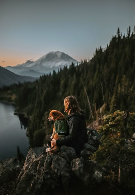 Hikes With Dogs, Hiking With Dogs Aesthetic, Roadtrip With Dog, Adventures With Dogs, Dog And Owner Aesthetic, Dog Hiking Aesthetic, Walk Dog Aesthetic, Dog Owner Aesthetic, Camping Astethic