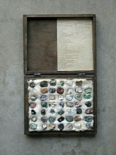 Rock Collection Display, Crystal Magic, Cabinet Of Curiosities, Rock Collection, Vintage Rock, Gems Crystals, Minerals And Gemstones, Rocks And Gems, Community Wall