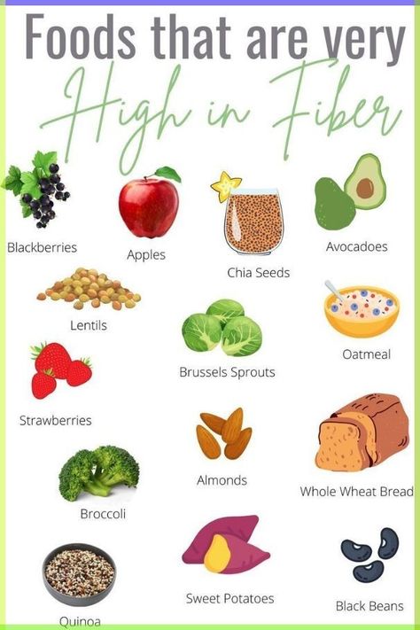 Fibre Rich Foods Fiber Diet, Most Fiber Rich Foods, High Finer Food, Fiber Rich Diet Plan, Veggies With Fiber, Top Fiber Rich Foods, Food Rich In Fiber, Foods That Are High In Fiber, Foods With Lots Of Fiber