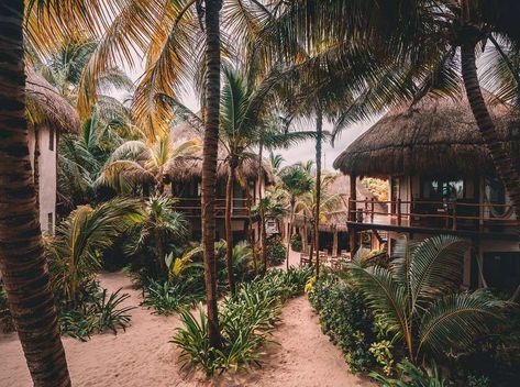 6 hoteles boutique chiquitos y con mucho encanto en Tulum - Food & Pleasure Tropical Beach Houses, Jungle House, Tulum Hotels, Beach Cabana, Dry Garden, Beach Tent, Desert Homes, Beach House Design, Hotel Boutique