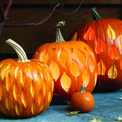 fall leaf pumkin carvings | Kind of Funny and Kind of Scary Pumpkins Jen Ament, Awesome Pumpkin Carvings, Pumpkin Patterns, Elegant Pumpkins, Pumkin Carving, Carved Pumpkins, Pumpkin Pictures, Pumpkin Carvings, Pumpkin Carving Patterns