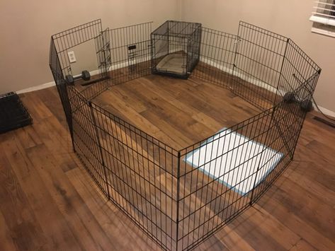 Setting Up a Long Term Confinement area (LTCA) / Preparing for the Puppy (Before you bring it home): Dog Gone Problems Puppy Play Area Indoor, Puppy Dog Nursery, Puppy Pens, Puppy Playpen, Puppy Crate, Play Pen, Crate Diy, Newborn Puppies, Dog Pen