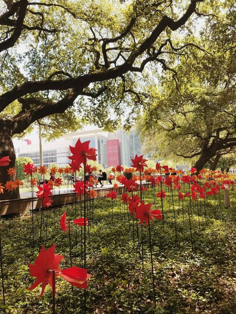 1,600 Colorful Pinwheels Were Planted Along The Promenade At Discovery Green And It Looks Stunning Giant Pinwheel, Conference Design, Interactive Installation, When I Die, Art Appreciation, Installation Art, Vector Free, Plants, Green