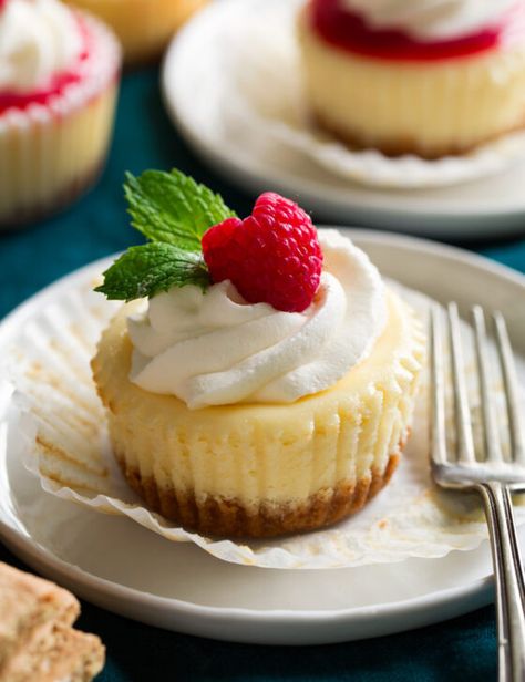 Cake Batter Cheesecake, Cheesecake Cupcakes Recipe, Cake Mix Cupcakes, Mini Cheesecake Recipes, Cheesecake Mousse, Lime Cheesecake, Cheesecake Cupcakes, Cheesecake Bites, Cooking Classy