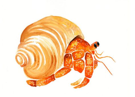 xxxxAll the animals that you wantxxxx custom of your by dimdi, $25.00 Watercolor Hermit Crab, Hermit Crab Painting, Sea Crab Drawing, Watercolour Crab, Hermit Crab Illustration, Hermit Crab Drawing, Painting Sea Animals, Hermit Crab Art, Watercolor Ocean Animals