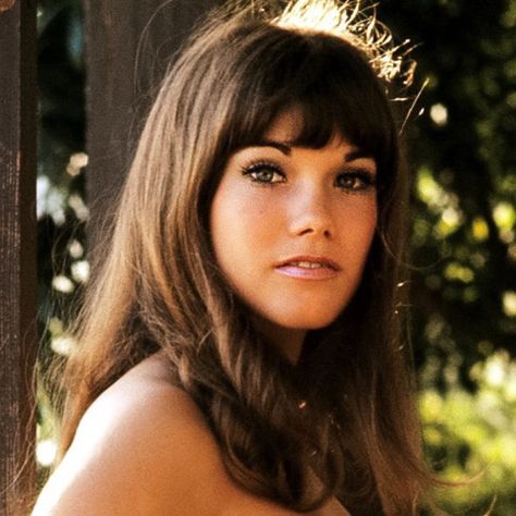 Barbi Karen Black, Barbi Benton, Youth Photos, Celebrity Prints, Lynda Carter, Celebrity Biographies, Beauty Photos, How Old, Feminine Beauty