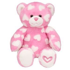 Cute Squishies, Teddy Bear Girl, Pink Teddy Bear, Cute Stuffed Animals, Bear Stuffed Animal, Build A Bear, Let's Celebrate, Cute Plush, The Memories