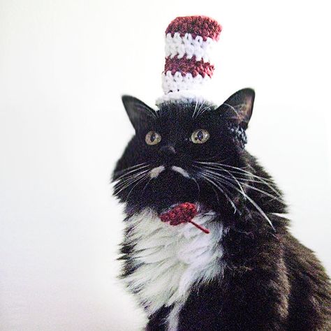 Cat Hat  crochet cat hat  hat for cat  Dr. by TigardNeedlework Cat Crocheted Hat, Crochet Hats For Cats, Crochet Hat For Cat, Cute Crochet Hats, Disney Dog Costume, Hats For Cats, Crochet A Hat, Hat For Cat, Cat Hat Pattern