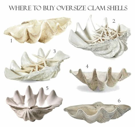 Large Shell Decor, Giant Clam Shell Decor, Large Clam Shell Decor, Clam Shell Decor, Large Clam Shell, Giant Clam Shell, Cheap Beach Decor, Blue Interiors, Giant Clam