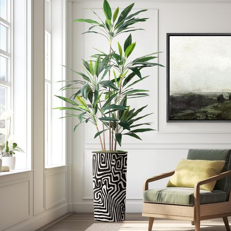 PRICES MAY VARY. [High Quality Materials] - Our realistic Dracaena Tree Tree is created using sophisticated botanical imitation technology that uses silk and polyester. [Gorgeous Planter Set] - Plant comes in durable and stylish plastic planter crafted by skilled designers. [Easy Assembly] - Planter, faux moss and plant are individual items that can be assembled with ease! [Flexible Home Decor] - Perfect for any setting throughout the household. Add modern style to a living room or office. Perfe Home Entrance Plants, Artificial Trees Indoor Decor, Unique Plant Stands Indoor, Rainforest Decor, Fake Indoor Trees, Faux Plant Decor, Plant Room Decor, Large Fake Plants, Tall Fake Plants