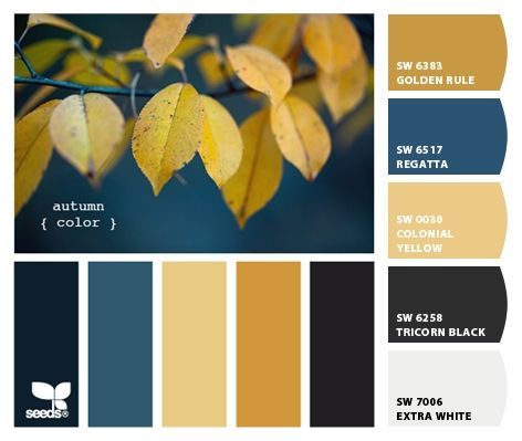 Color scheme, -black, 2 tone grey instead of white Orange Scheme, Navy Color Palette, Room Yellow, Family Room Colors, Bedroom Blue, Bedroom Colour Palette, Black Color Palette, Orange Color Palettes, Bathroom Black