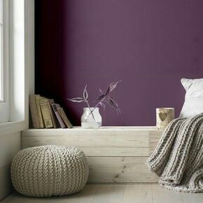 Dove Feather, Purple Accent Wall, Pink Rooms, Eggshell Paint, Purple Bedroom, Graham Brown, Interior Wall Paint, Purple Paint, Brown Paint