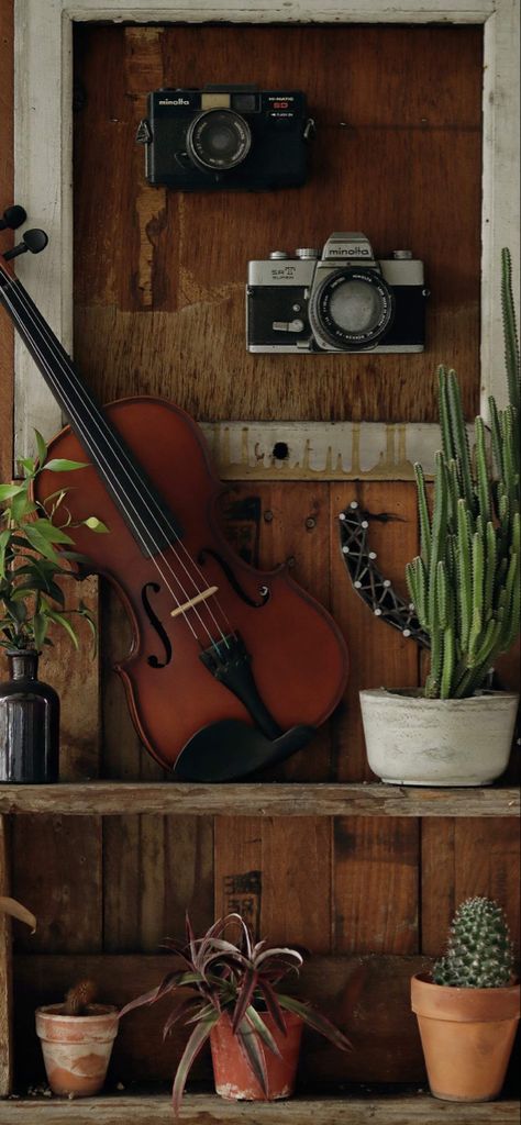 Violin Wallpaper Iphone, Violin Art Wallpaper, Violin Wallpaper, Violin Photography, Violin Art, Violin Design, Cute Bedroom Ideas, Leaf Plant, Violin Music