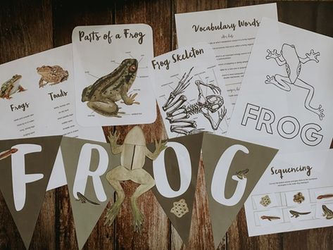 Frog Unit Study, Unit Study Homeschool, Homeschool Summer, Anatomy Learning, Frog Dissection, Frog Classroom, Journal Science, Montessori Science, Summer Homeschool