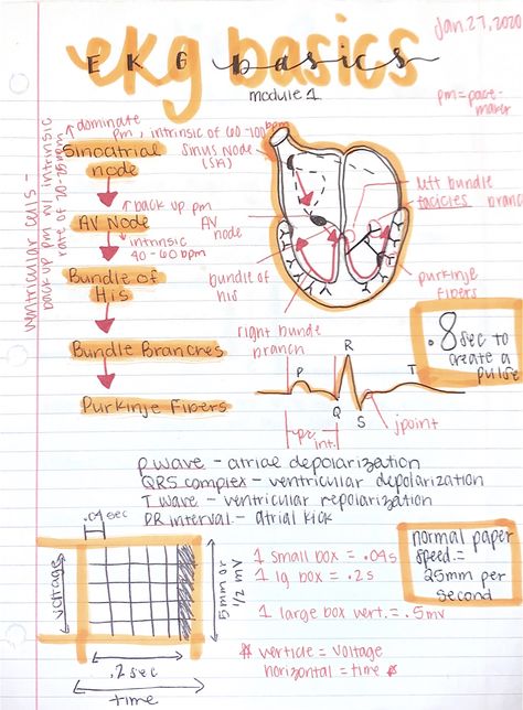 Ekg Notes, Respiratory Therapy Notes, Medical Assistant Student, Paramedic School, Nursing School Essential, Nursing School Motivation, Medical School Life, Turmeric Vitamins, Nurse Study Notes