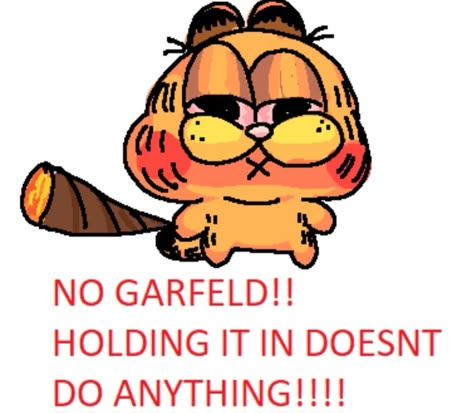 Kira Core, Garfield Pictures, Garfield Images, Garfield Cat, Ugly Cat, Silly Images, December 25, Icon Pfp, Orange Cat