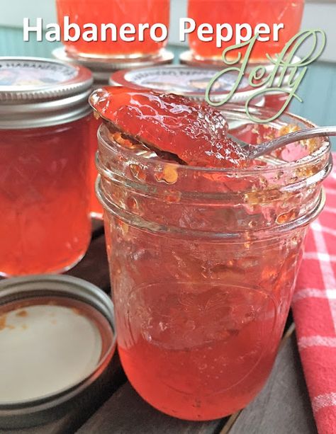 Habanero Gold Pepper Jelly, Haberno Jelly Recipes, Raspberry Habanero Jelly, Canning Habanero Peppers, Habanero Relish, Habenero Jelly, Habanero Pepper Jelly Recipe, Habanero Jelly Recipe, Habanero Pepper Jelly