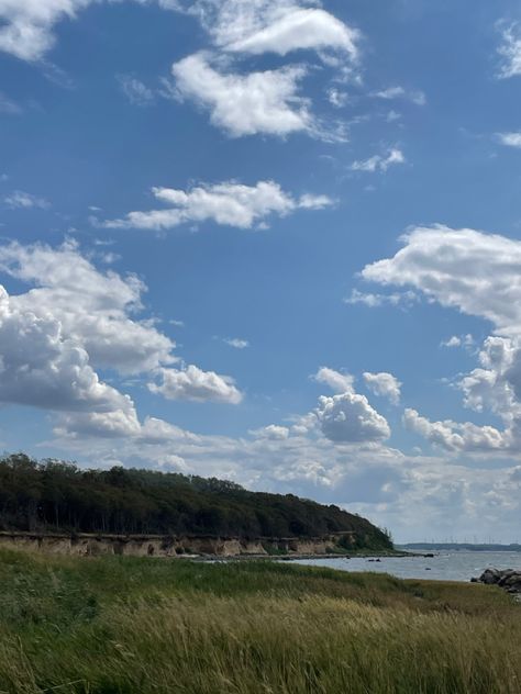 Trees Northern Germany Aesthetic Beach Sea Nature Germany Aesthetic, Coast Aesthetic, Northern Germany, Sea Nature, Aesthetic Beach, North Sea, Beach Aesthetic, Vision Board, Trees