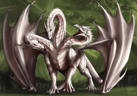 Three Headed Dragon Fantasy Art, Three Headed Dragon Drawing, Two Headed Dragon, 3 Headed Dragon, Three Headed Dragon, Dragons Drawing, Puff The Magic Dragon, Types Of Dragons, Mythological Animals