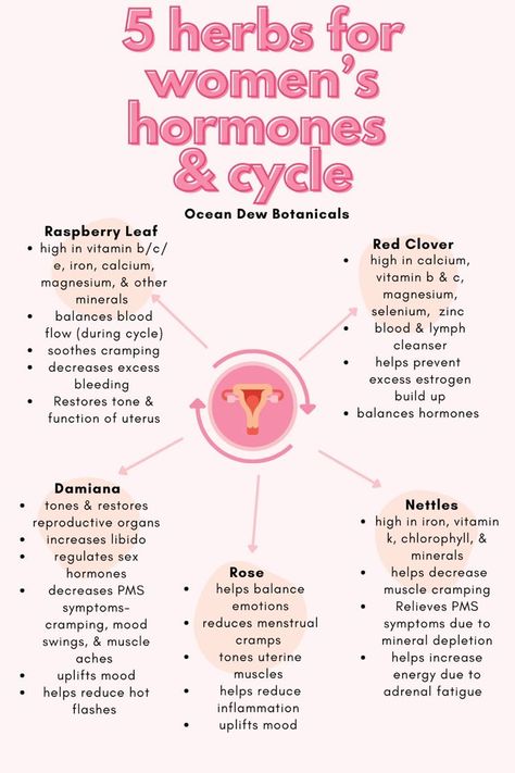 Hormone Nutrition, The Moon Cycle, Osteoporosis Prevention, دورة شهرية, Womb Healing, Balance Your Hormones, Healthy Hormones, Moon Cycle, Menstrual Health