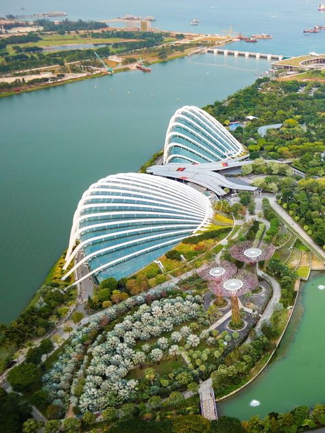 Preparing For Your Semester Abroad: What To Know Before Your Flight Singapore Gardens By The Bay, Semester Abroad, Singapore City, Visit Singapore, Outdoor Theater, Singapore Travel, Domestic Flights, Gardens By The Bay, Green Park