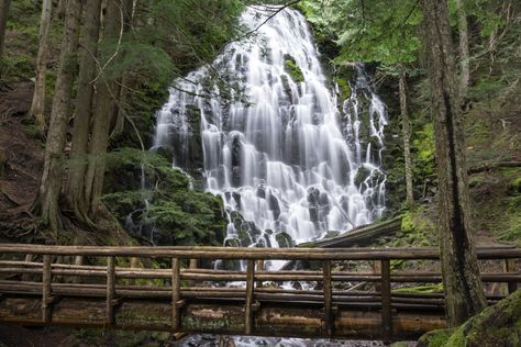 It's a 7 mile loop hike to get to Ramona Falls in Mt. Hood wilderness, less than 2 hours from Portland, Oregon! River Video, Oregon Coast Hikes, Ramona Falls, Mount Hood Oregon, Oregon Hiking, Pacific Coast Road Trip, Things To Do In Oregon, Horsetail Falls, Best Weekend Trips