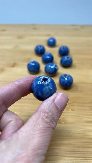 Linda on Instagram: "Ceramic blueberry magnets. Extremely useful and necessary 🧲🫐😉" Blueberry Painted Pottery, Blueberry Magnet, Blueberry Magnet Clay, Blueberry Pottery, Pottery Magnets Ceramics, Clay Blueberry, Blueberry Bowl, Clay Lamp, Ceramic Magnets