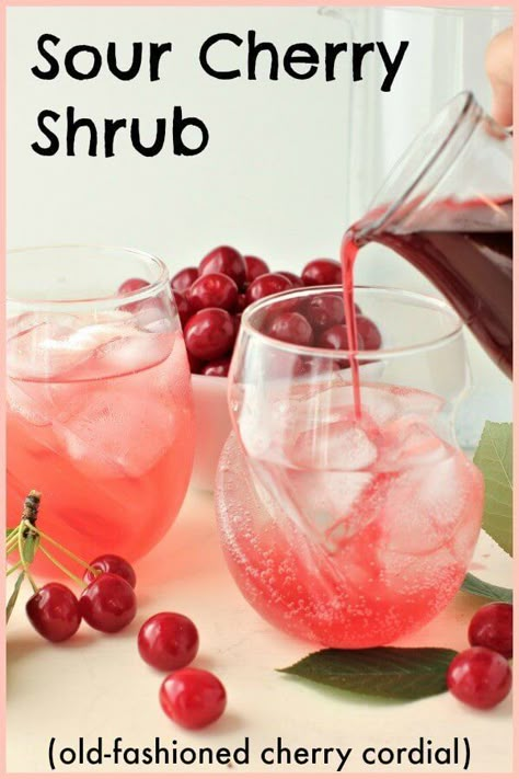 Sour Cherry Liqueur Recipe, Evans Cherry Recipes, Sour Cherry Cocktail, Cherry Shrub Recipe, Shrub Drink, Sour Cherry Recipes, Switchel Recipe, Shrub Recipe, Cordial Recipe