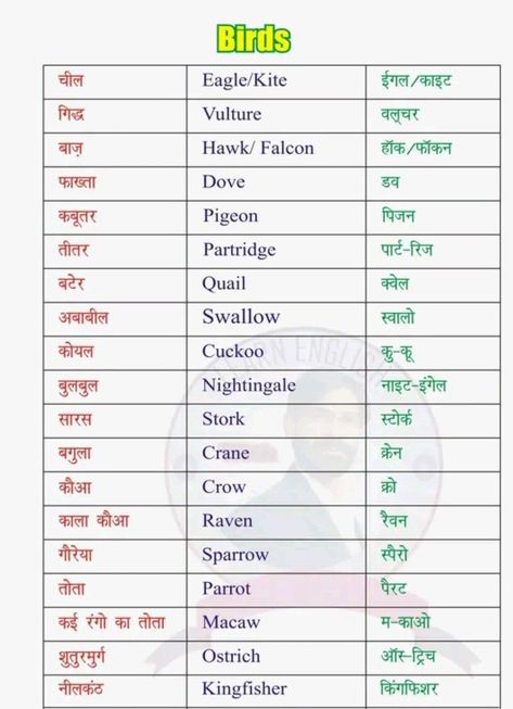 Vitamin Charts, Hindi Learning, English To Hindi, English Meaning, English Phrases Sentences, English Word Book, Hindi Language Learning, English Grammar Rules, English Transition Words