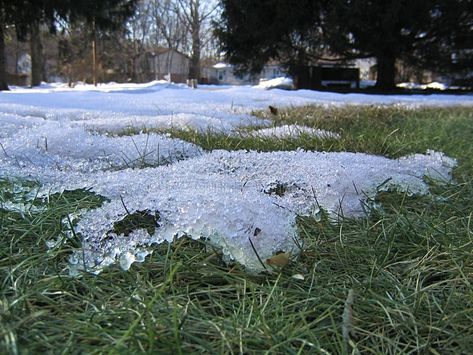 Melting Snow, Fall Semester, Winter Frost, Winter Images, The Weekend, Right Now, Stock Photos, Outdoor Decor, Nature