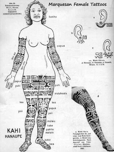 History Of Tattoos, Ethnic Tattoo, Tattoo Museum, Native Tattoos, History Tattoos, Polynesian Art, Marquesan Tattoos, Samoan Tattoo, Hawaiian Tattoo