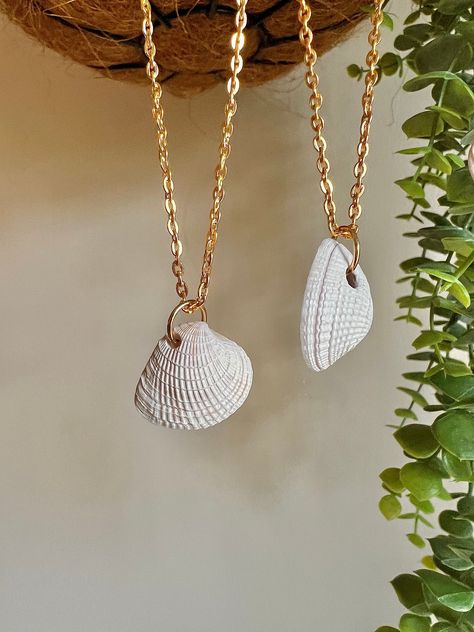 Real Shell Necklace, Seashell Jewelry Diy Necklaces, She’ll Necklace, Diy Seashell Jewelry, Diy Shell Jewelry, Seashell Necklace Diy, Ocean-inspired Shell Necklaces For Gifts, Gold Shell Necklace With Ocean-inspired Style, Handmade Ocean-inspired Shell Necklace