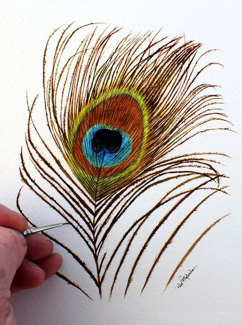 Peacock Feather Watercolour Painting, Original Fine Art - The Devon Artist Watercolour Peacock, Feather Watercolor, Devon Artist, Detailed Watercolor, Feather Illustration, Watercolor Birds, Watercolor Kit, Coloured Feathers, Feather Painting