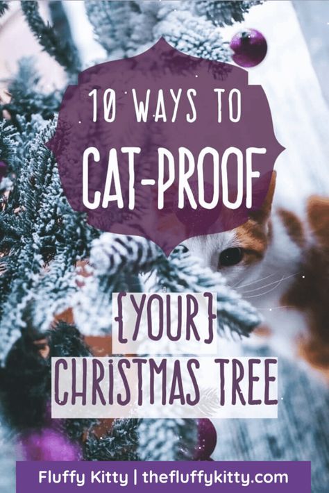 Cat Proof Christmas Tree, Cat Deterrent, Fluffy Kitty, Cat Climbing Tree, How To Cat, Cat Proofing, Cat Christmas Tree, Christmas Tree Branches, Cat Hacks