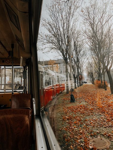 Autumn In Vienna, Vienna Autumn, Berlin Autumn, October Season, Vienna Aesthetic, Ber Months, Travel 2024, European Aesthetic, Fall Scrapbook