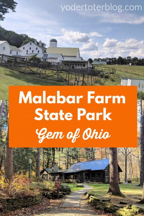 Day Trips In Ohio, Ohio Hiking, Amish Country Ohio, Ohio Destinations, Ohio Vacations, Fun On The Farm, Petting Farm, Ohio State Parks, Mansfield Ohio