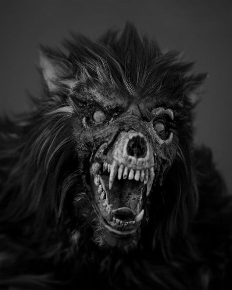 Zombie Werewolf, Werewolf Tattoo, Werewolf Hunter, Horror Drawing, Zombie Monster, Wolf Artwork, Werewolf Art, Vampires And Werewolves, Legendary Creature