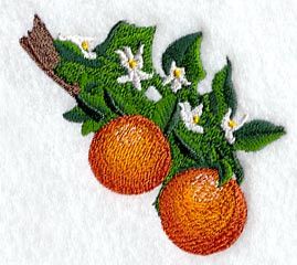 Orange Blossom design (C1394) from www.Emblibrary.com Portrait Embroidery, Fruit Orange, Puppy Harness, Embroidery Patch, Embroidery Library, Appliqué Patch, Embroidery Patches, Amazon Art, Orange Blossom