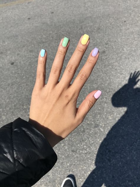 fun nail designs, rainbow pastel nails, different colored nails, different color nails, spring nails Different Color Nails, Pastel Nail Art, Nails Pastel, Nails Yellow, Valentine Nails, Nail Design Inspiration, Nails Spa, Short Nail, Summer Acrylic Nails