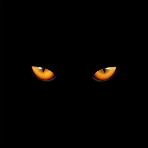 Eyes Black Background, Eyes Background, Cat Eyes Drawing, Black Cat Images, Creative Pumpkin Painting, Black Cat Eye, Dj Images, Drawing People Faces, Horror Movie Icons