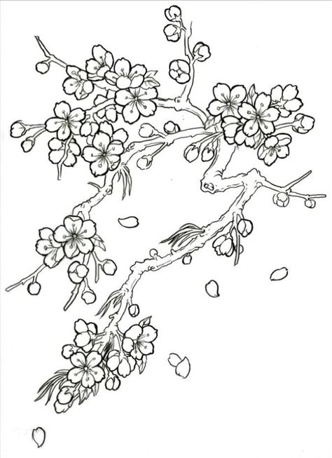 Japanese Cherry Blossom Tree Drawing Sketch Coloring Page Cherry Blossom Drawing, Tree Coloring Page, Tree Sketches, Cherry Blossom Art, Cherry Blossom Tattoo, Blossom Tattoo, Blossoms Art, Plant Drawing, Japanese Embroidery