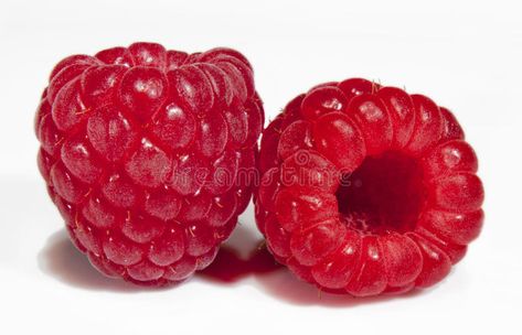 Raspberry Pictures, Prismacolor Drawings, Prismacolor Drawing, Raspberry Bush, Witch Tattoo, Textiles Projects, Painting Inspo, Background White, Shoot Inspiration