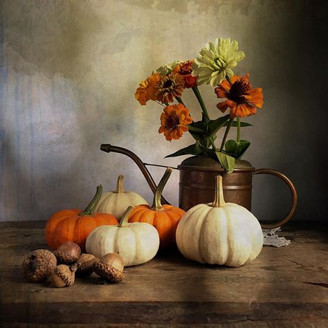 Autumn Still Life Photography, Easy Clay Sculptures, Still Life Pictures, Life Drawing Reference, Autumn Orange, Beautiful Landscape Photography, Still Life Photos, Still Life Drawing, Autumn Painting