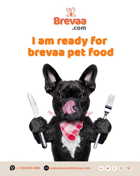 Pet Food Creative Ads, Dog Food Creative Ads, Pet Food Poster, Pet Advertising, Pet Food Store, Food Giveaways, Pet Food Shop, Pet Food Packaging, Brochure Food