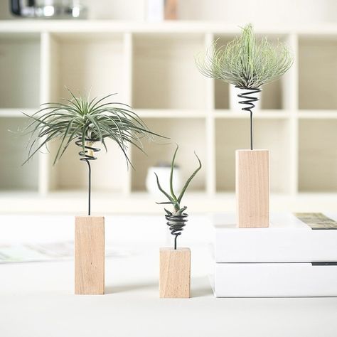 Wooden Metal Spring Air Plant Holder Tillandsia Shelf Grid Home Decoration Wedding Party Decor Plant 3 Sizes S M L Tabletop Planter, Air Garden, Small House Garden, Air Plants Care, Herb Containers, Herb Garden Design, Air Plant Display, Vertical Garden Diy, Wooden Plant Stands